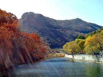 新澳天天彩免费资料大全查询，海意背景